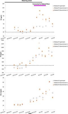 An environmental flow to an ephemeral creek increases the input of carbon and nutrients to a downstream receiving river